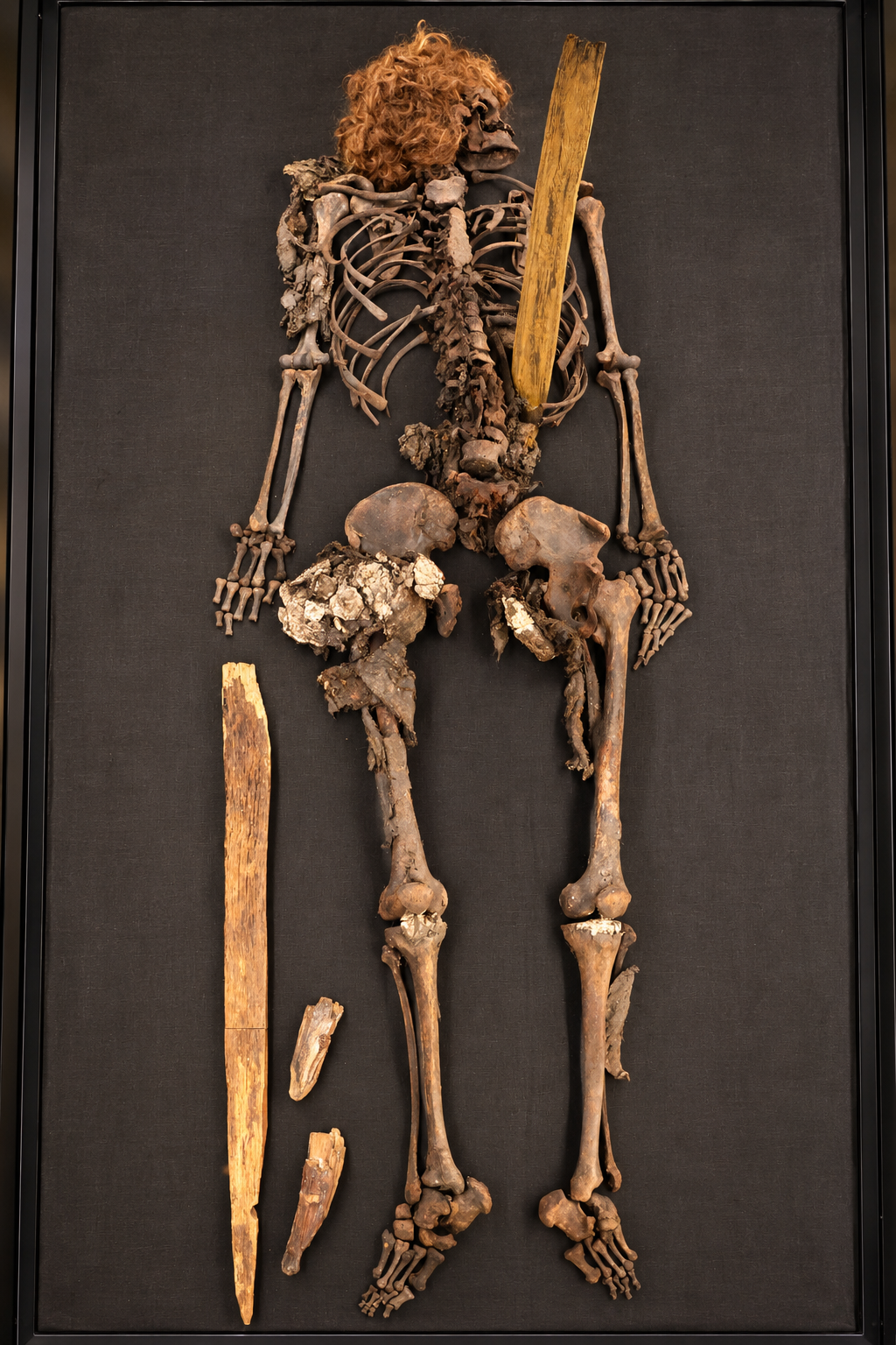 Aus mehreren Fotografien zusammengesetzte Gesamtansicht des Skeletts des Bocksten-Mannes